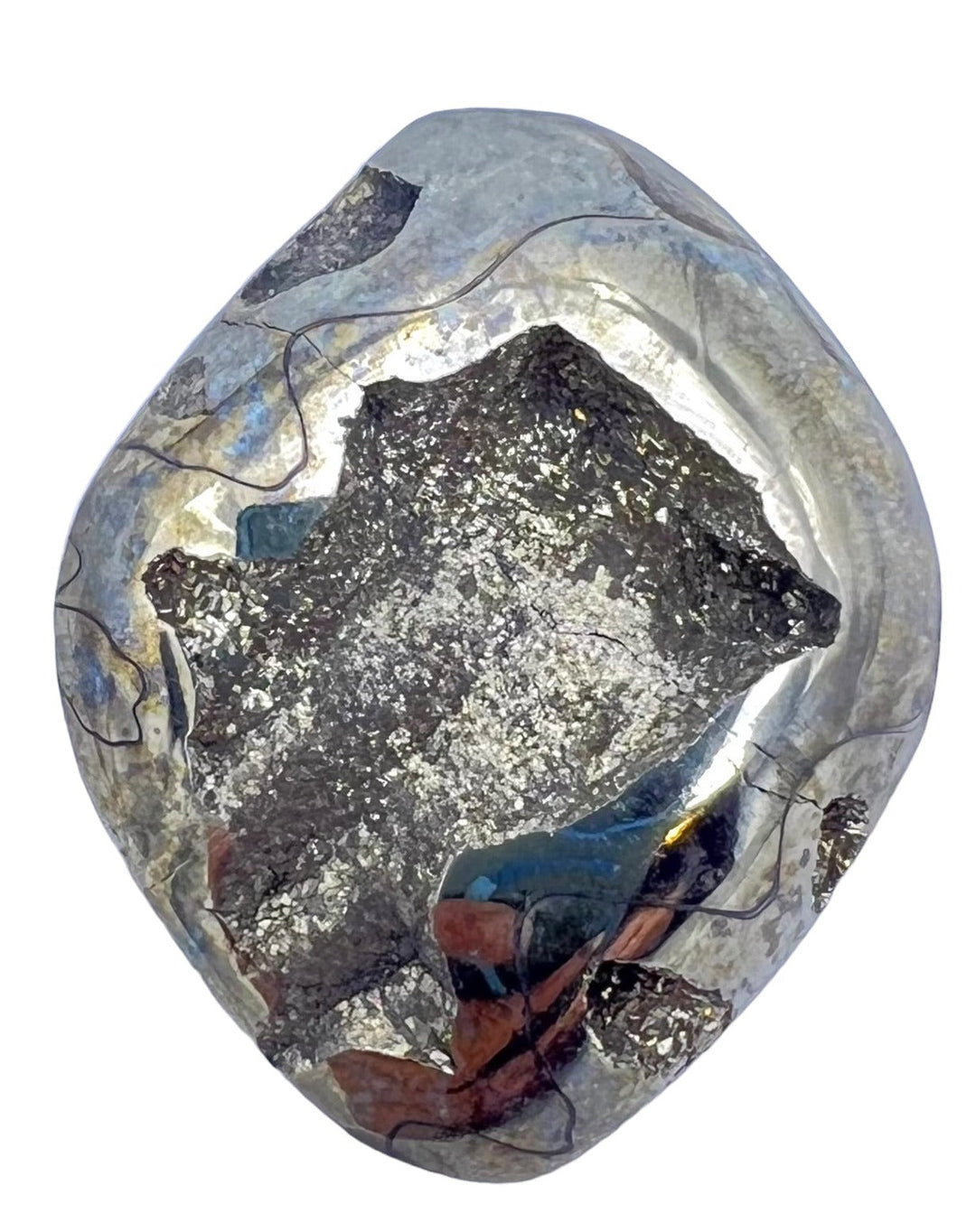 Simbercite/Pyrite Ammonite (Russia) Freeform Designer