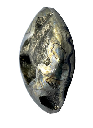 Simbercite/Pyrite Ammonite (Russia) Freeform Designer