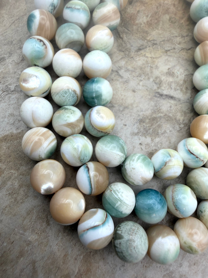 Turbo Marmoratus Shell 10mm Beads ONE 16 Inch Strand