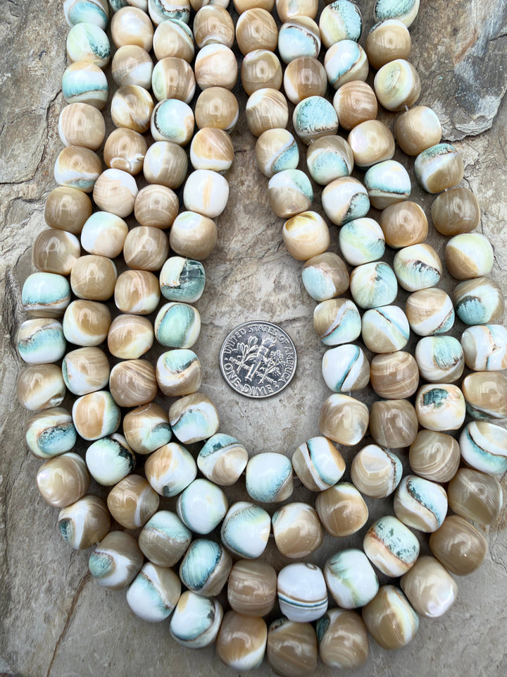 Turbo Marmoratus Shell 10mm Drum Shaped Beads ONE 15 Inch