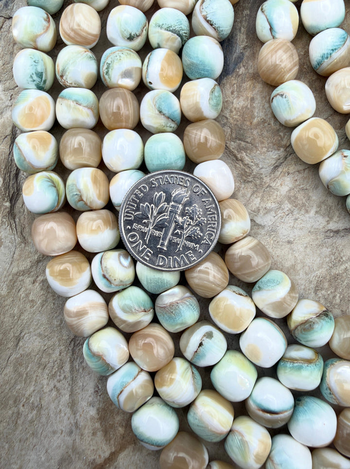 Turbo Marmoratus Shell 8mm Drum Shaped Beads ONE 15 Inch