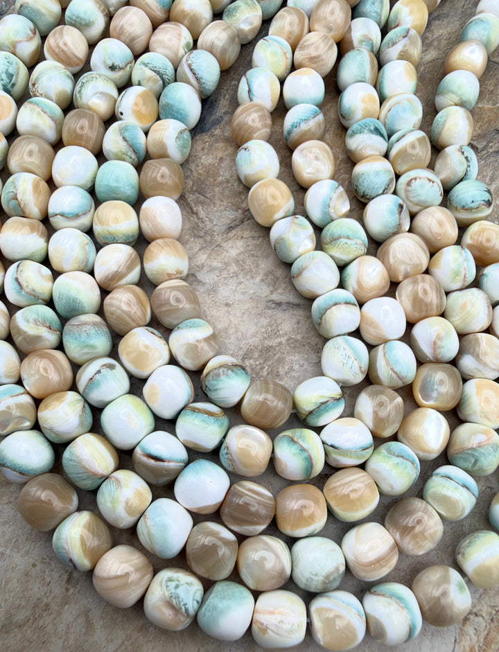 Turbo Marmoratus Shell 8mm Drum Shaped Beads ONE 15 Inch