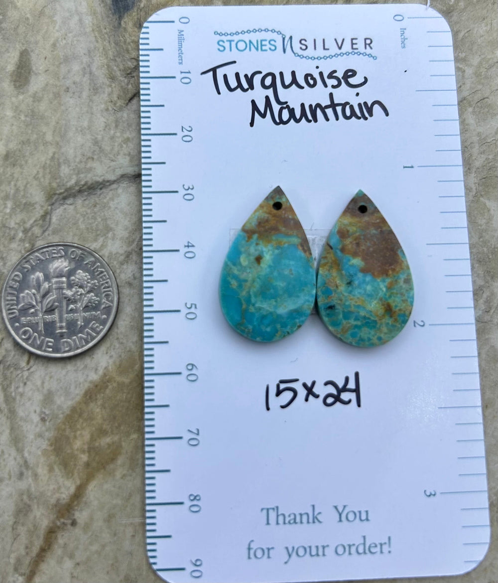 Turquoise Mountain (Arizona) Matching Earring Slab Bead