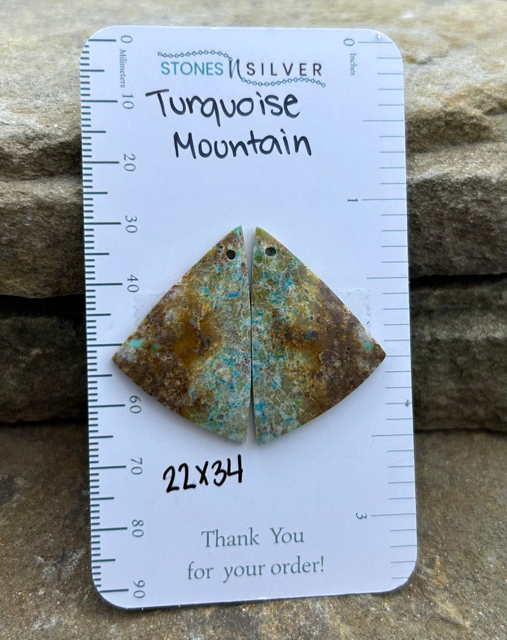 Turquoise Mountain (Arizona) Matching Earring Slab Bead