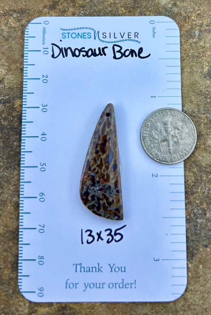 Utah Dinosaur Bone Focal Pendant Bead 13x35mm - Dinosaur