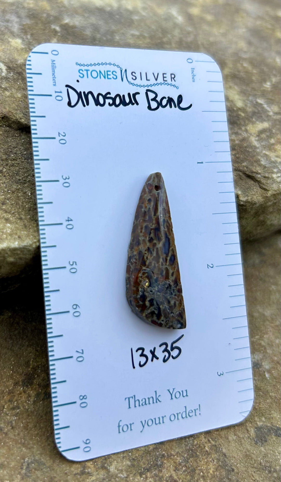 Utah Dinosaur Bone Focal Pendant Bead 13x35mm - Dinosaur