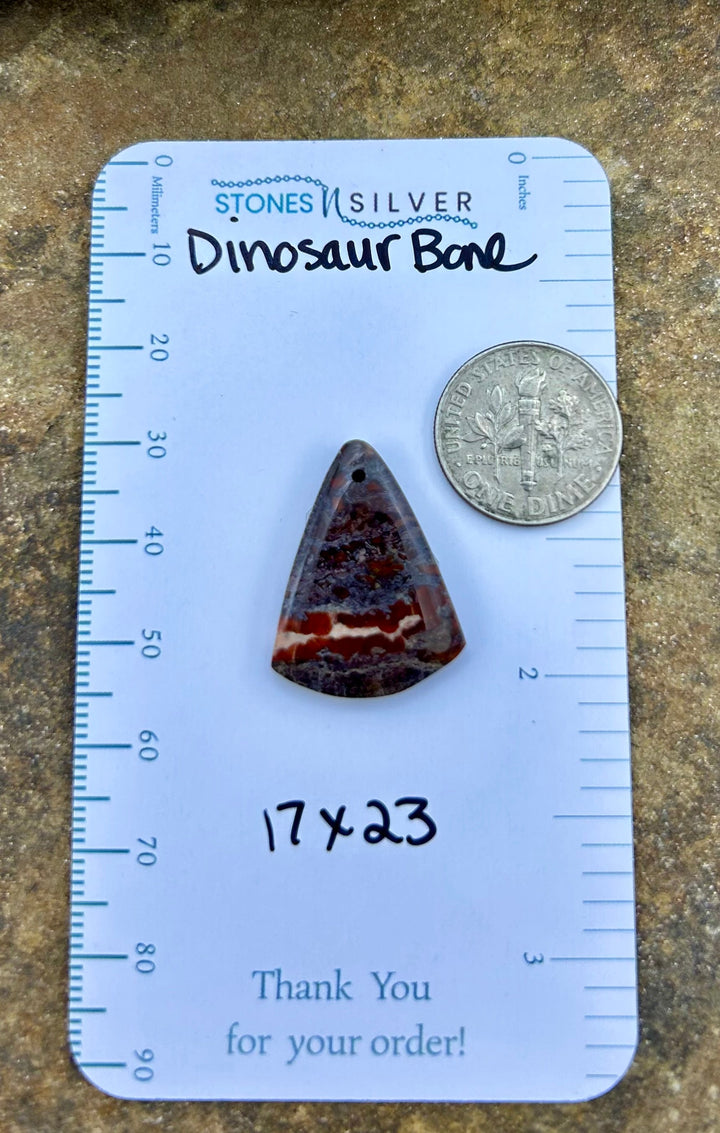 Utah Dinosaur Bone Focal Pendant Bead 17x23mm - Dinosaur