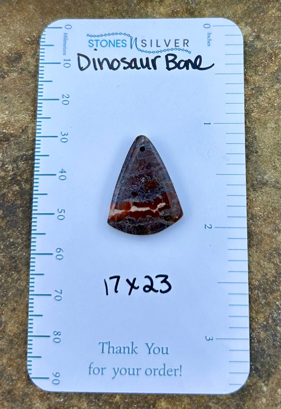 Utah Dinosaur Bone Focal Pendant Bead 17x23mm - Dinosaur