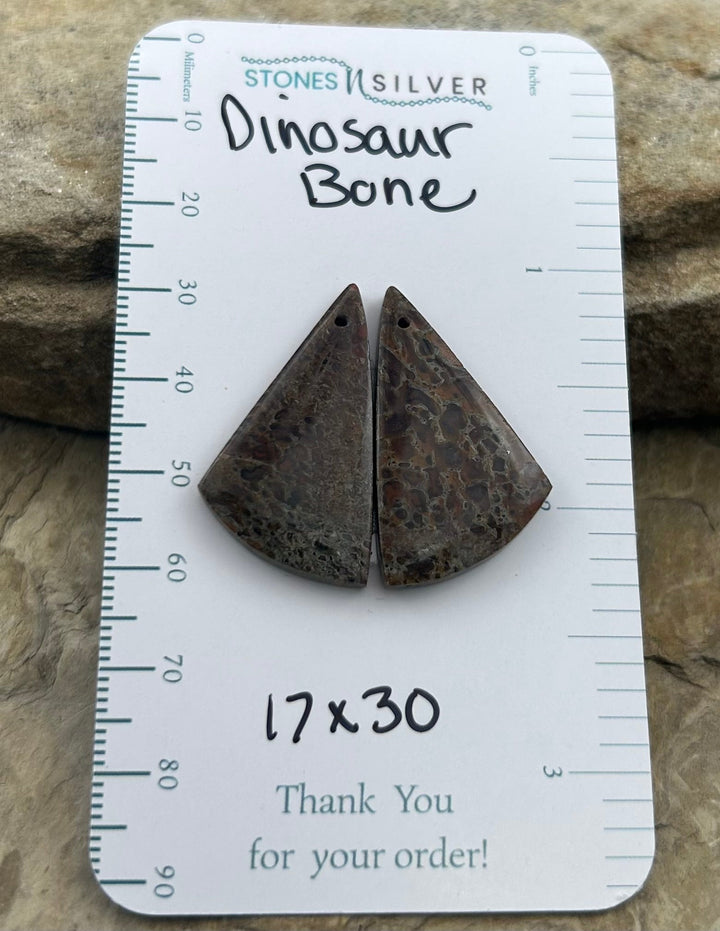 Utah Dinosaur Bone Matching Earring Slab Bead Pair 17x30mm