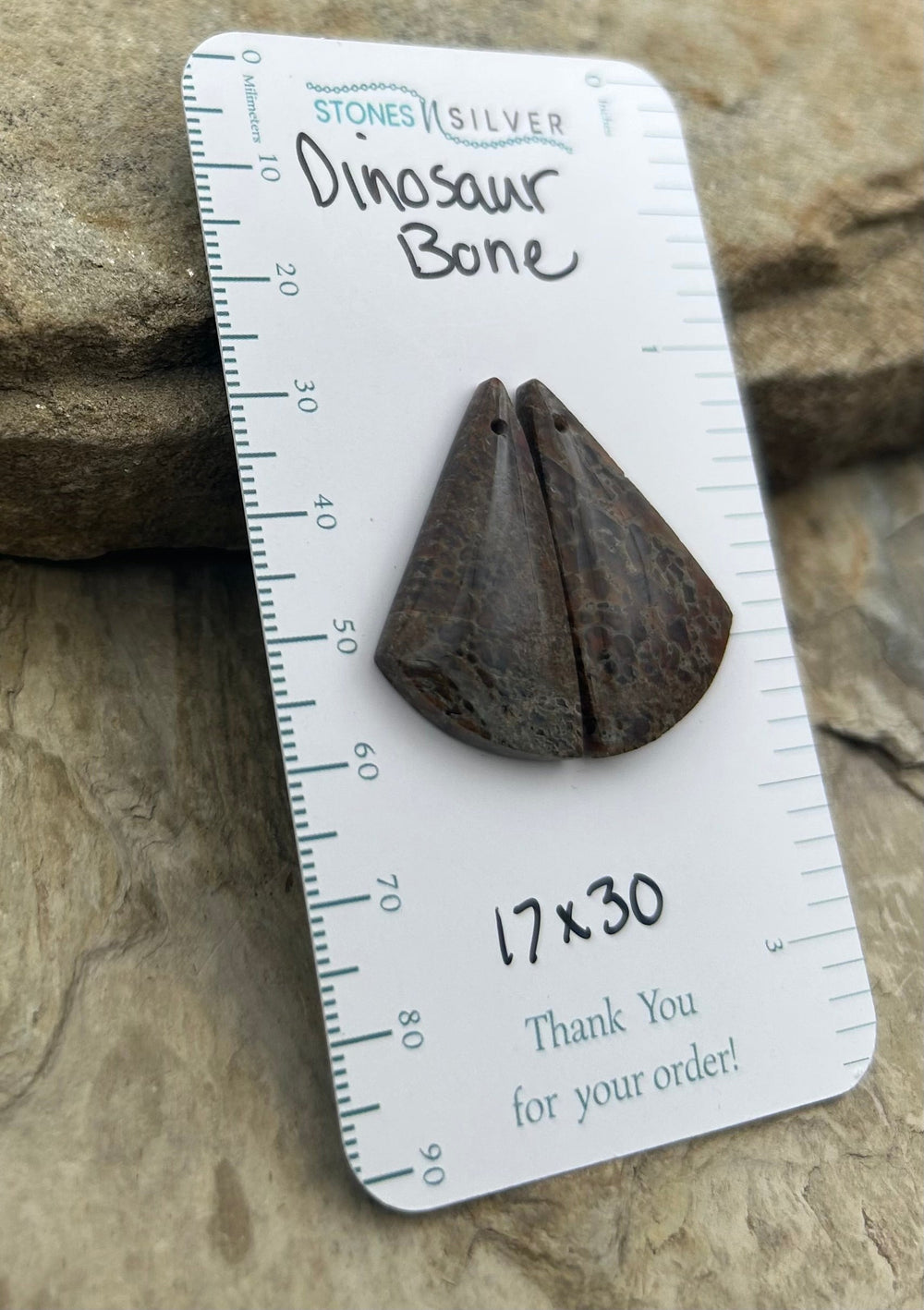 Utah Dinosaur Bone Matching Earring Slab Bead Pair 17x30mm