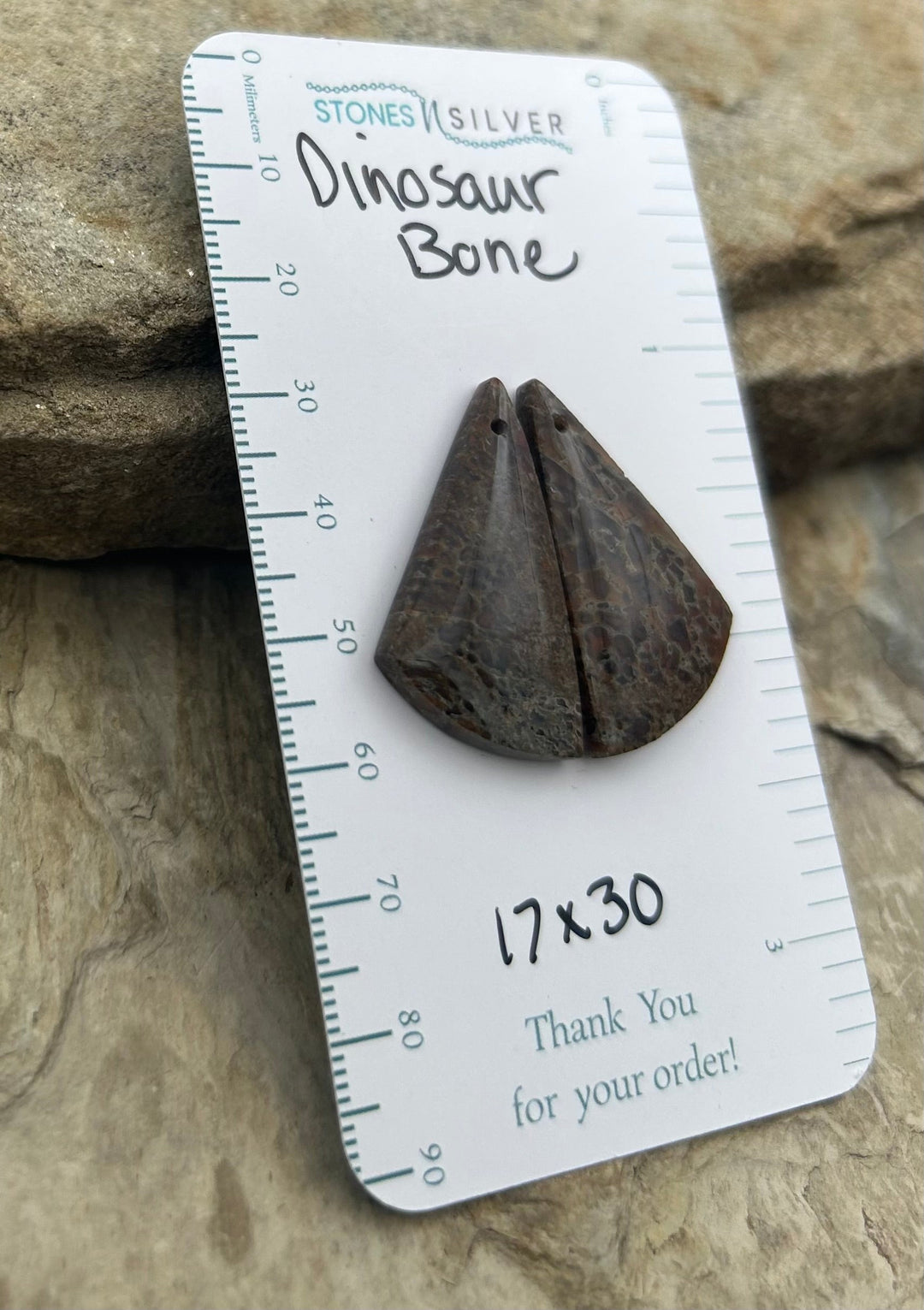 Utah Dinosaur Bone Matching Earring Slab Bead Pair 17x30mm