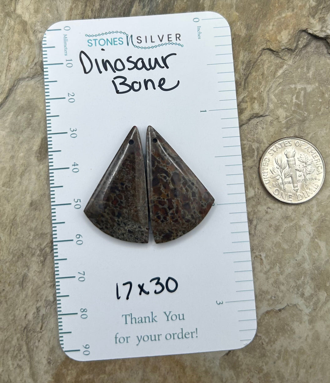 Utah Dinosaur Bone Matching Earring Slab Bead Pair 17x30mm