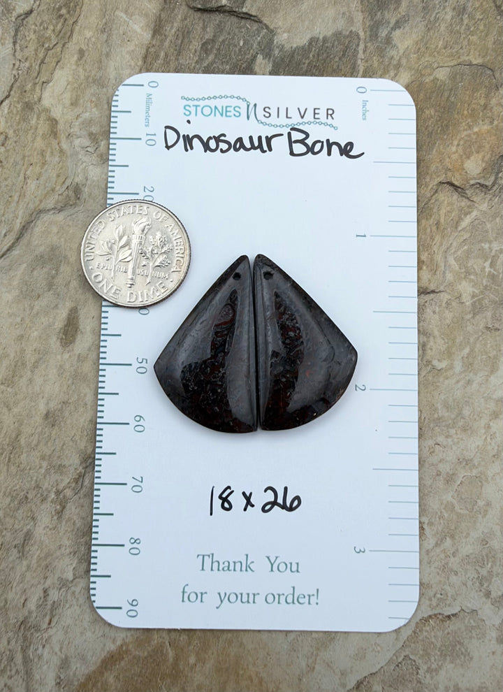 Utah Dinosaur Bone Matching Earring Slab Bead Pair 18x26mm