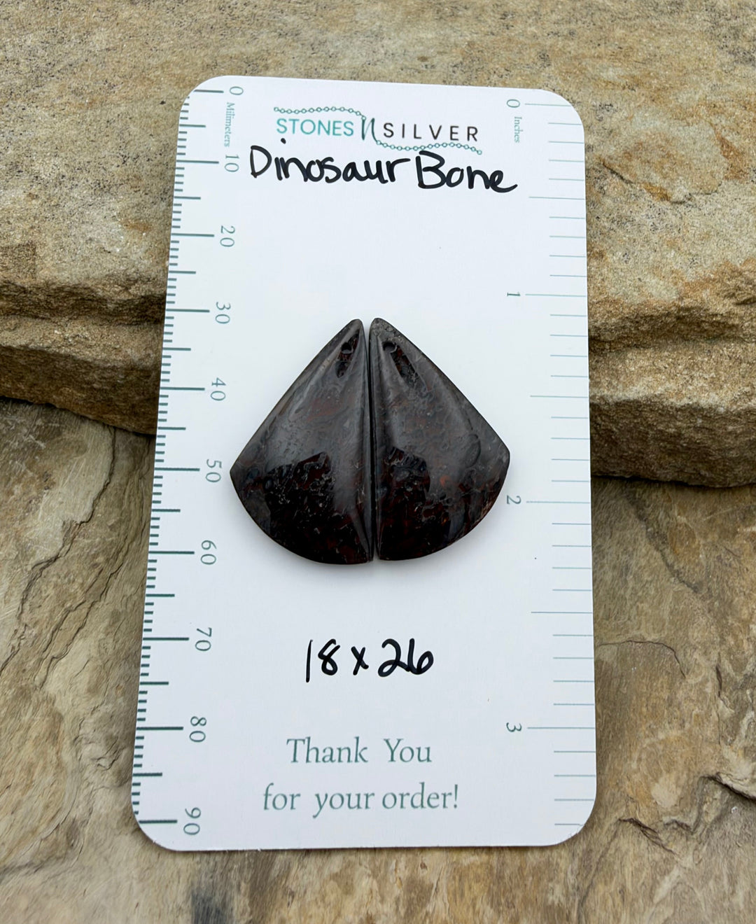 Utah Dinosaur Bone Matching Earring Slab Bead Pair 18x26mm