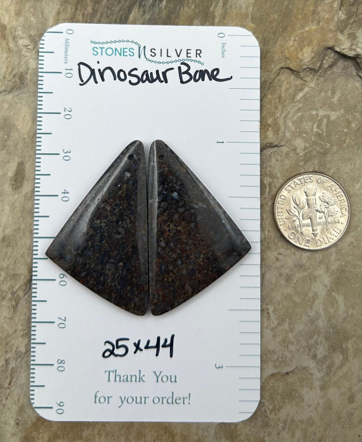 Utah Dinosaur Bone Matching Earring Slab Bead Pair 25x44mm