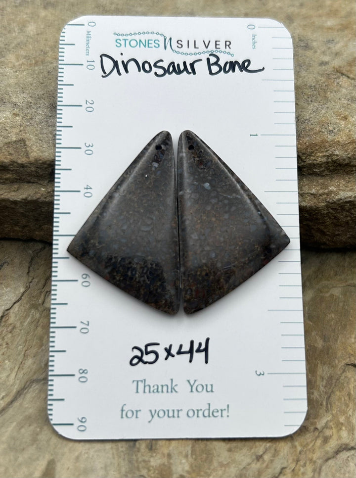 Utah Dinosaur Bone Matching Earring Slab Bead Pair 25x44mm
