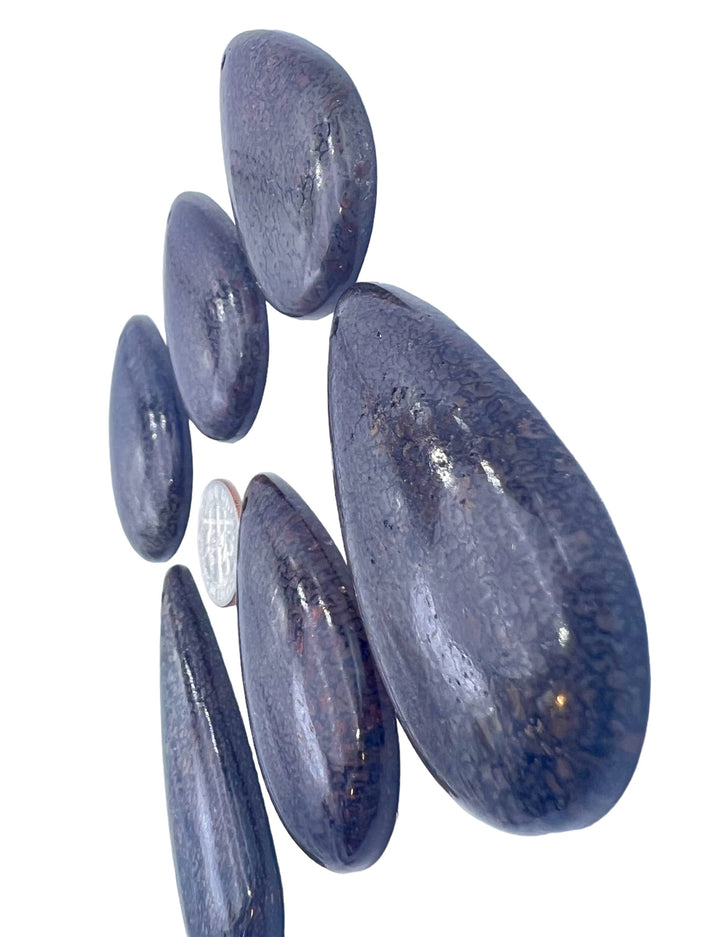 Utah Dinosaur Teardrop Shaped Focal Pendant Beads (Select