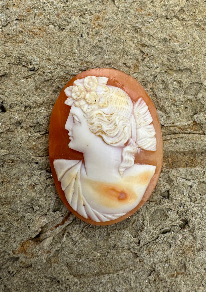 Vintage Genuine Carved Shell Cameo 22x29mm - Shell Cameo