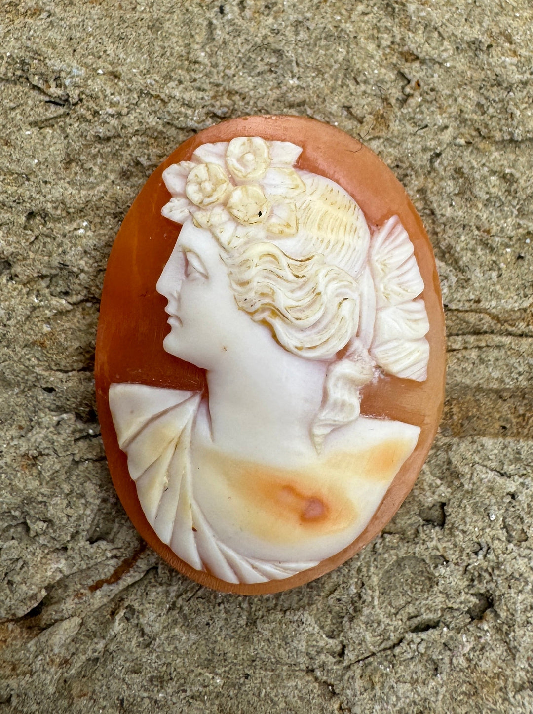 Vintage Genuine Carved Shell Cameo 22x29mm - Shell Cameo