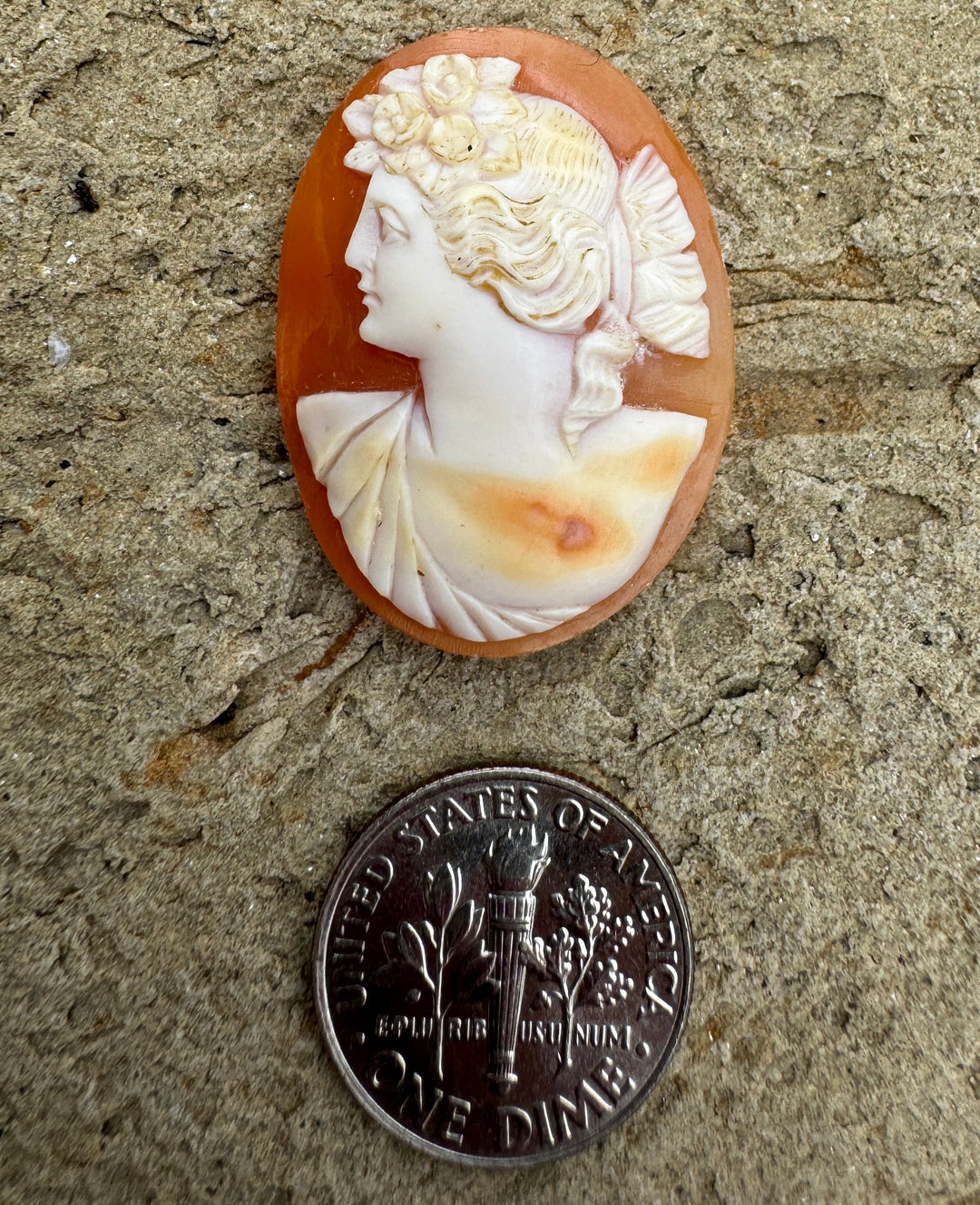 Vintage Genuine Carved Shell Cameo 22x29mm - Shell Cameo