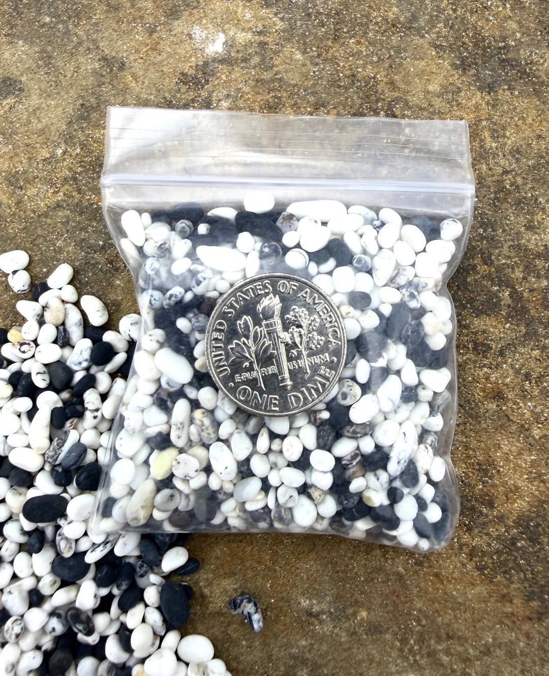 White Buffalo (Nevada) Tumbled Un-Drilled Nuggets 2-4mm