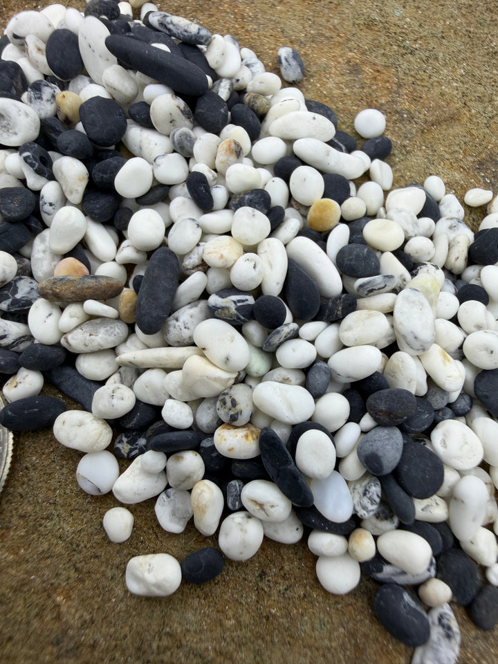 White Buffalo (Nevada) Tumbled Unpolished Undrilled Small