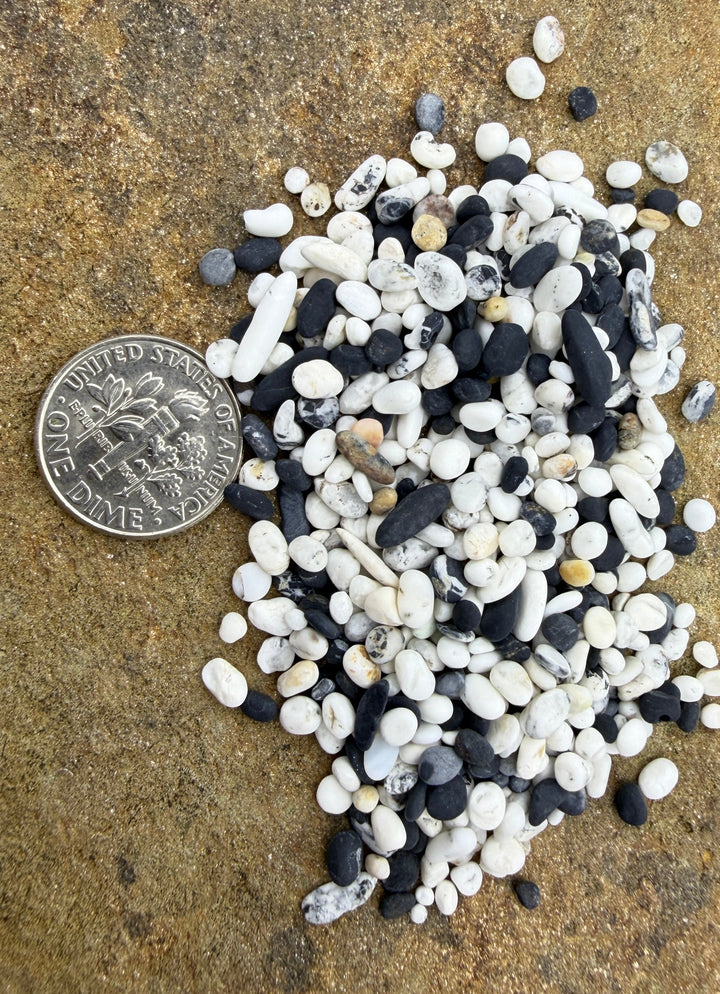 White Buffalo (Nevada) Tumbled Unpolished Undrilled Small