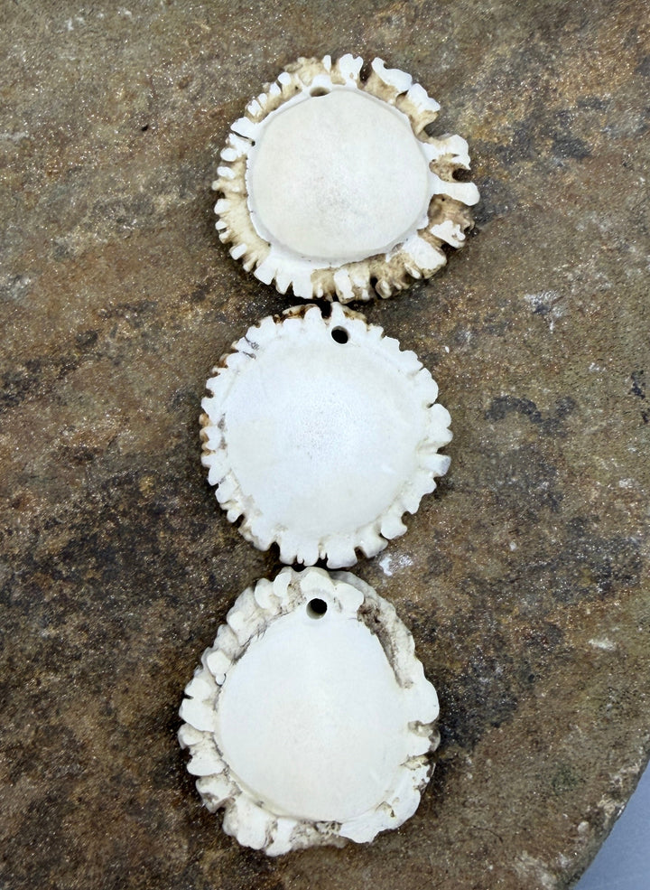 Whitetail Deer Antler Large Burr Focal Pendant Bead 45-48mm