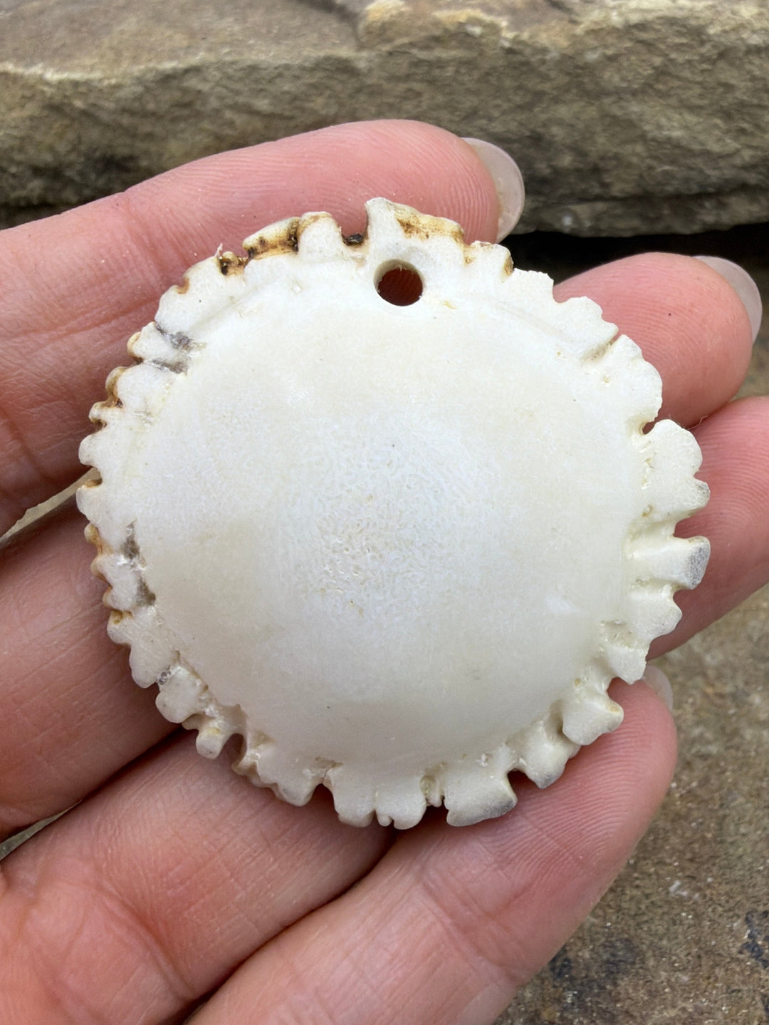 Whitetail Deer Antler Large Burr Focal Pendant Bead 45-48mm