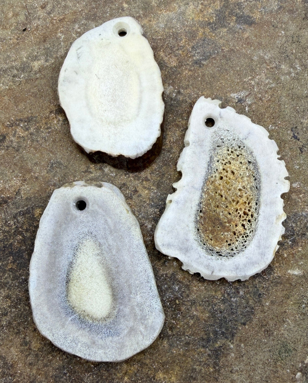 Whitetail Deer Antler Large Focal Pendant Bead