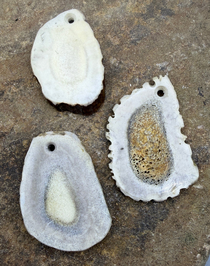 Whitetail Deer Antler Large Focal Pendant Bead