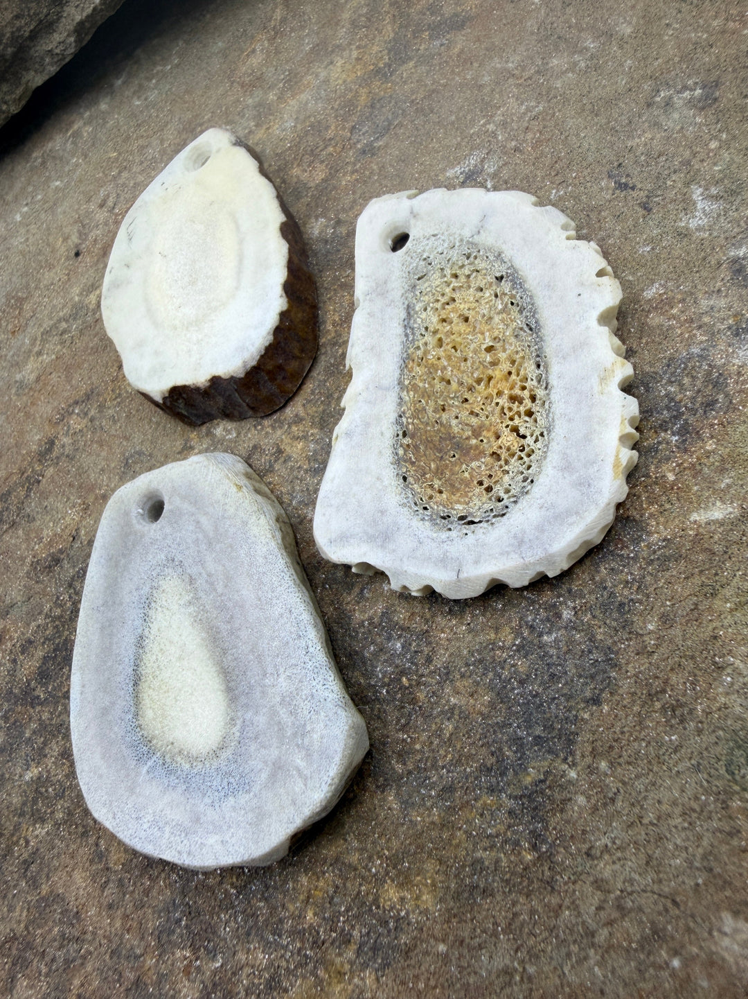 Whitetail Deer Antler Large Focal Pendant Bead