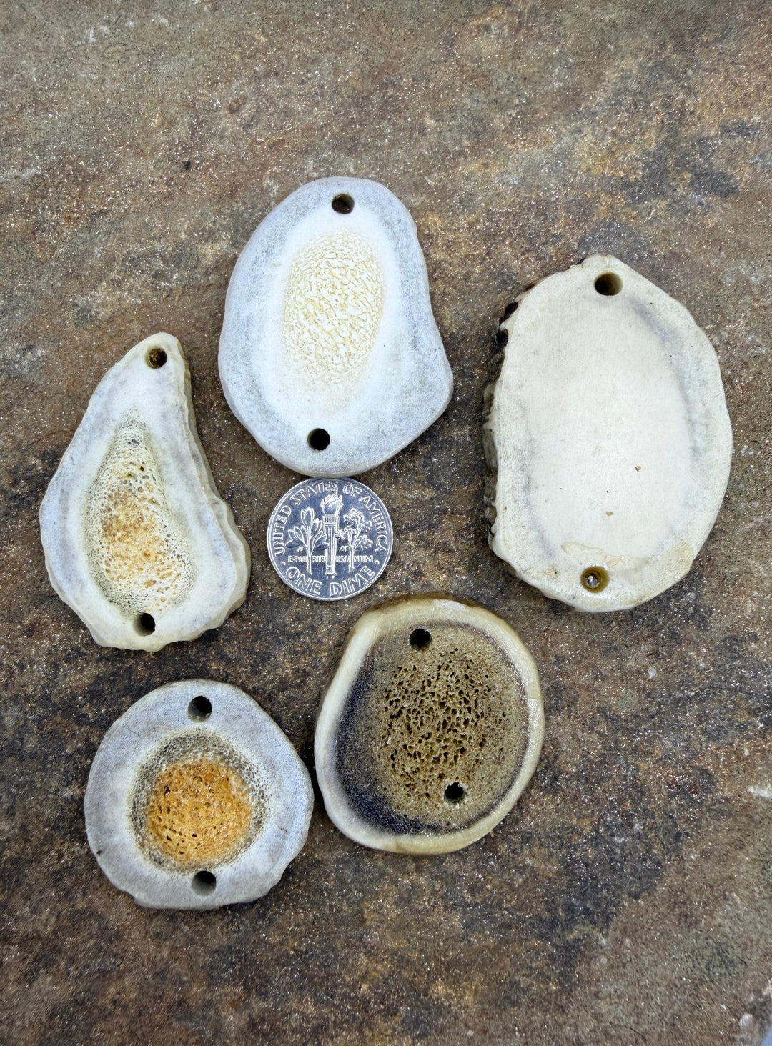 Whitetail Deer Antler LOT of 5 Jewelry Component Peices
