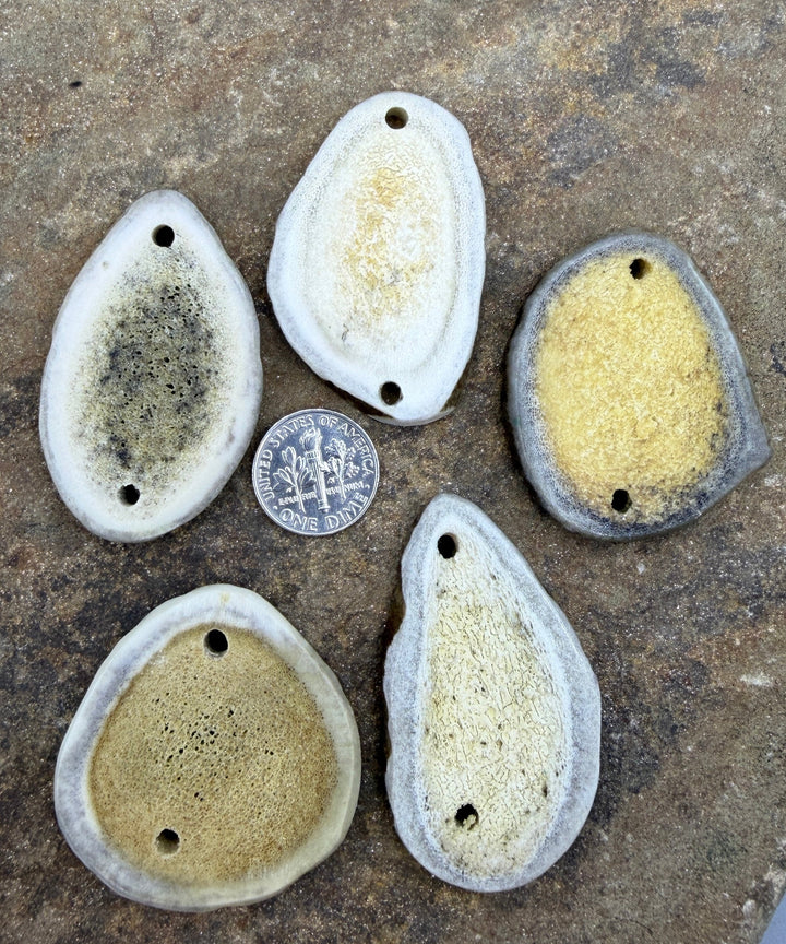 Whitetail Deer Antler LOT of 5 Jewelry Component Peices