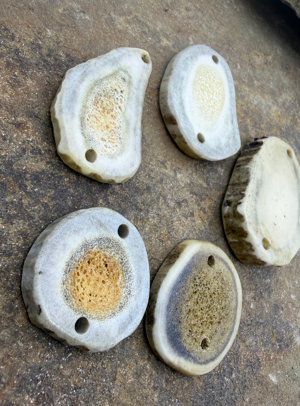 Whitetail Deer Antler LOT of 5 Jewelry Component Peices