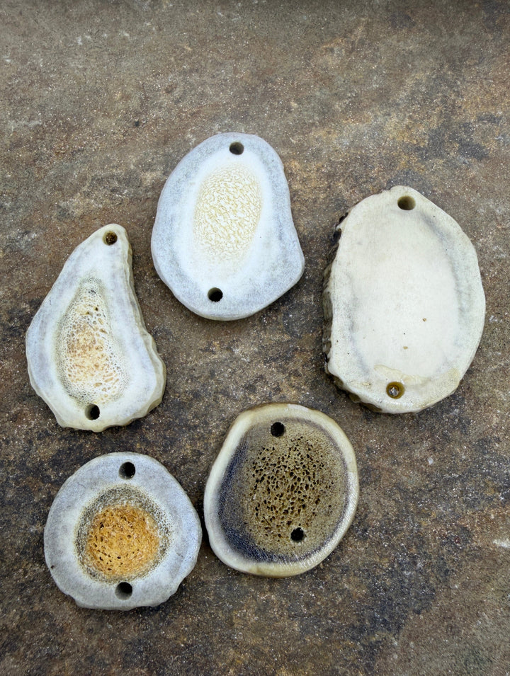 Whitetail Deer Antler LOT of 5 Jewelry Component Peices
