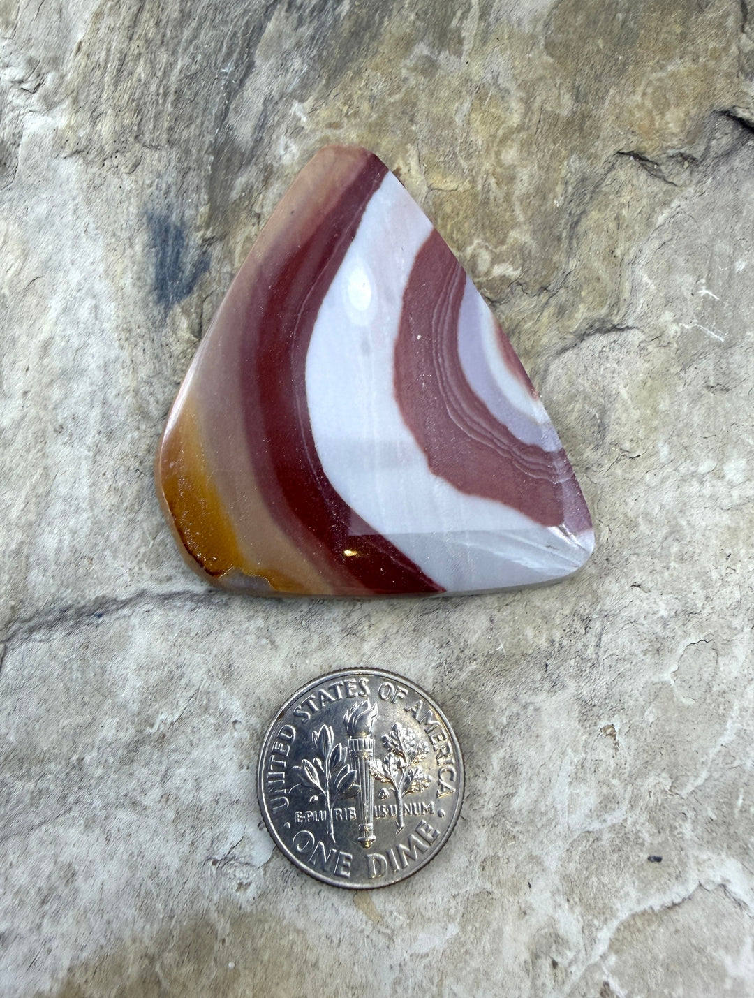 Zebra Stone (Australia) Freeform Cabochon 35x43mm - Zebra