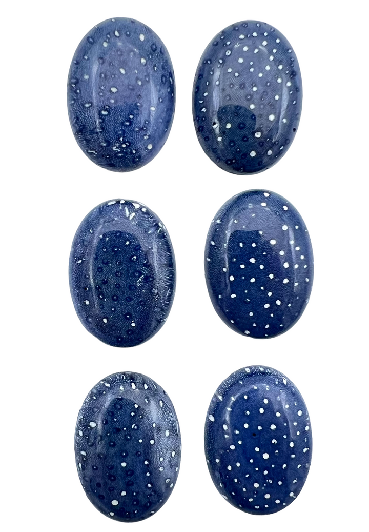 Natural Blue Sponge Coral Calibrated Oval Cabochons 18x25mm