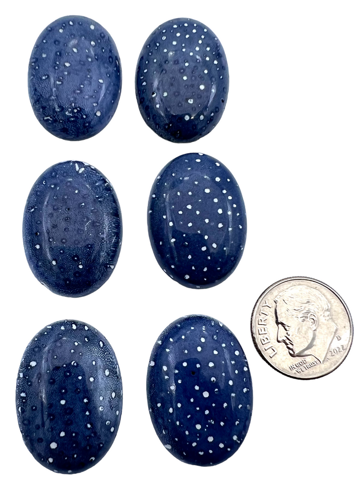 Natural Blue Sponge Coral Calibrated Oval Cabochons 18x25mm